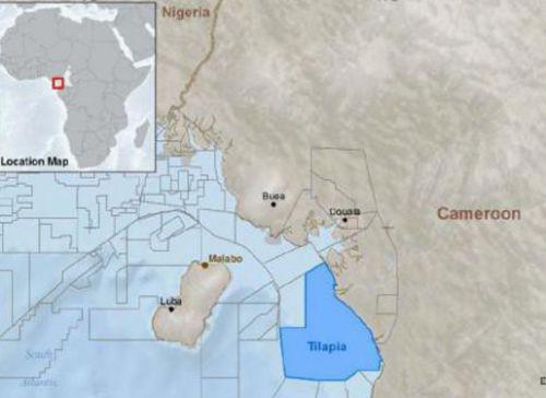 Cameroun : Noble Energy abandonne le puits d’exploration Cheetah sur sa licence Tilapia