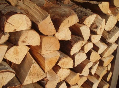 Plus de 26 000 hectares de bois enlevés sur le site de construction du barrage de Mekin, au Sud du Cameroun