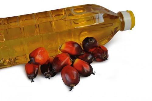 Cameroun : les raffineurs importent 16 000 tonnes d’huile de palme pour pallier le déficit de la production locale