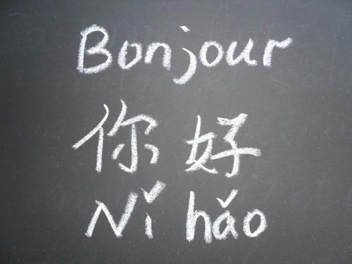 Cameroun : 10 000 personnes apprennent la langue chinoise, qui accroit les opportunités d’emplois