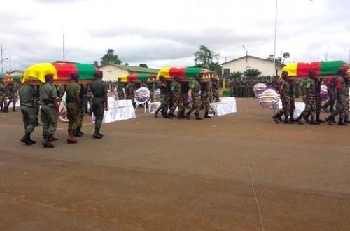 Une vaste chaine de solidarité nationale aide le Cameroun à faire face au coût de la lutte contre Boko Haram