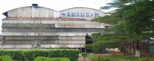 La Sosucam va investir 10 milliards de francs Cfa en 2015 pour renforcer son outil de production