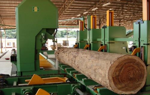En 2018, le Cameroun a exporté du bois vers l’Union européenne, pour 165,3 milliards FCFA, en hausse de 25%