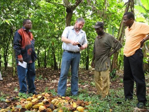 Cameroun : Telcar Cocoa formera 10 000 nouveaux producteurs à la certification du cacao en 2016