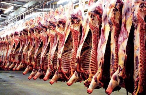 Le gouvernement camerounais apporte son soutien aux PME dédiées aux métiers de la viande