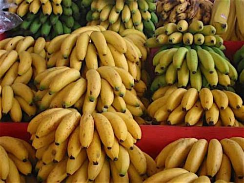 L’Espagnol Tomsa Destil construira une unité de transformation de la banane plantain au Cameroun