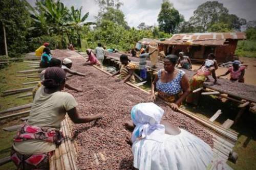 Le Cameroun et le PNUD songent à renforcer leur partenariat dans la lutte contre la pauvreté en zone rurale