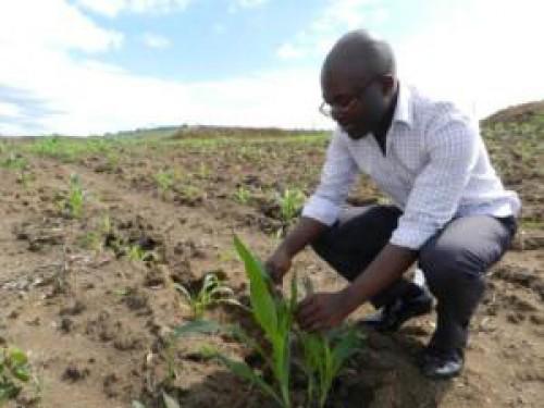 Déjà 3300 hectares aménagés pour installer de jeunes agriculteurs au Cameroun