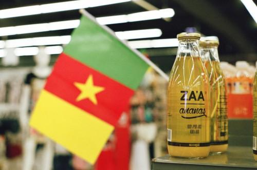 Au cours des 4 dernières années, 568 produits camerounais ont été agréés au régime tarifaire préférentiel de la Cemac