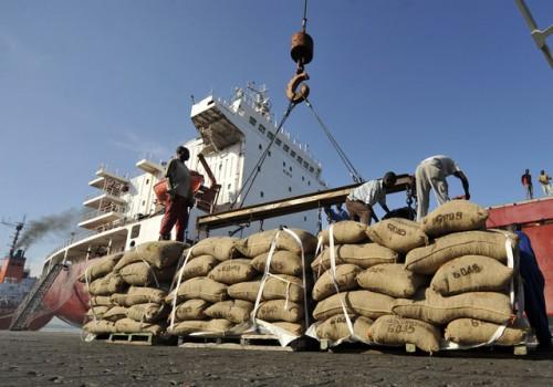 L’exportateur des fèves camerounaises, Telcar Cocoa, ambitionne de franchir le cap de 100 000 tonnes d’achats en 2018-2019