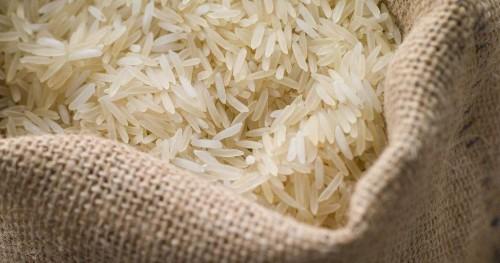 Un projet de coopération avec la Corée du Sud a permis de mettre au point 37 variétés de riz au Cameroun