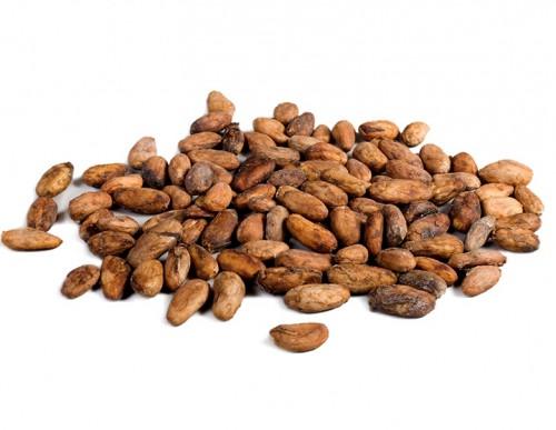 Cameroun : 1800 séchoirs et des magasins de stockage de fèves rétrocédés aux producteurs de cacao