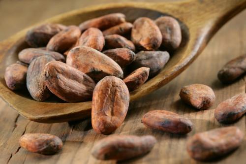 Le Cameroun a exporté 4894 tonnes de cacao en août 2016