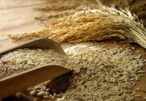 Avec une production de 300 tonnes par an, la marque camerounaise «Logone riz» tente une percée sur les marchés local et tchadien