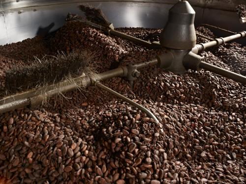 L’ambition de l’Australien Atlantic est de transformer 15 000 tonnes de cacao au Cameroun