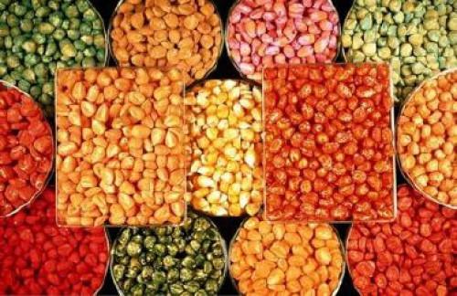 Des semences améliorées de maïs de mauvaise qualité en circulation au Cameroun