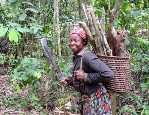 Le Cameroun s’engage à restaurer 12 millions d’hectares de forêts déboisés à l’horizon 2030