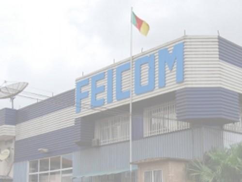 Le Feicom a distribué 63 milliards de FCfa aux communes camerounaises en 2013