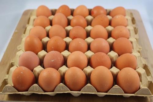 300 cartons d’œufs en provenance de la région de l’Ouest et à destination de Yaoundé saisis et détruits par les autorités publiques