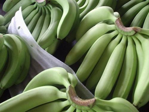En 2017, la PHP, leader du marché de la banane au Cameroun, redoute «un désastre si les prix n’évoluent pas bien»