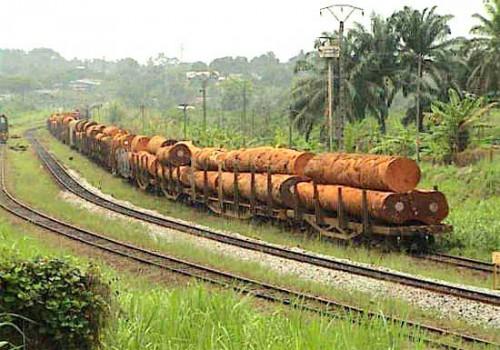Pour échapper aux contraintes de l’Apv-Flegt de l’UE, les forestiers camerounais redirigent les exportations de bois vers la Chine