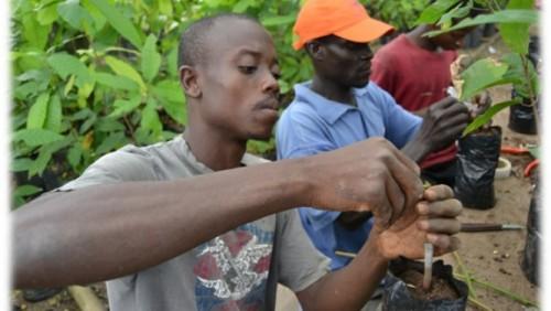 Cameroun : le programme New Generation de l’interprofession cacao-café sera en vitrine à l’Expo universelle de Milan en octobre