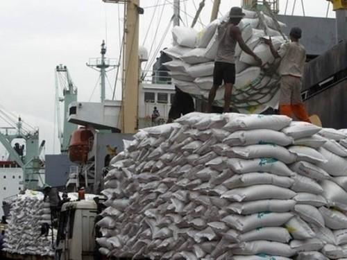 Explosion des importations de riz sur le Cameroun en 2013