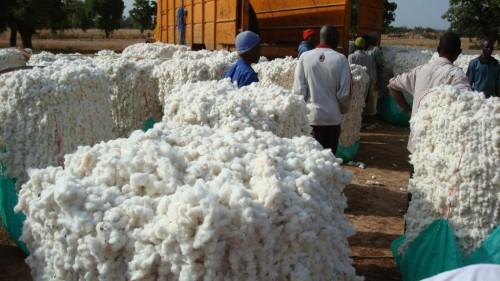 Cameroun : l’Ivoirien Filtisac fournira des emballages à la Sodecoton, pour plus d’un milliard FCfa