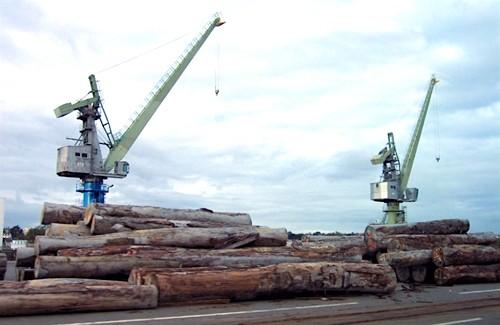 Les livraisons sur le terminal à bois du port de Douala ont augmenté de 2,4% au premier semestre 2016