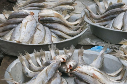 Aquaculture : une fête du poisson à Douala pour tenter de booster la consommation locale