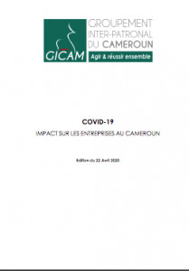 Covid-19 : impact sur les entreprises au cameroun