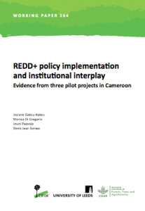 REDD+ policy implementation and institutional interplay evidence from three pilot projects in Cameroon