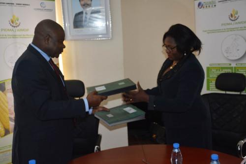 La Banque camerounaise des PME se positionne sur le financement agricole, grâce à un partenariat avec le PIDMA