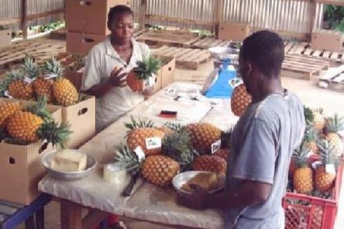 Entreprises : le gouvernement regrette le « taux de mortalité élevé » des PME Cameroun