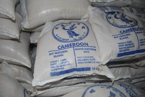 Avec une production de riz irrigué de 364 456 tonnes, le Cameroun double les objectifs fixés pour 2018