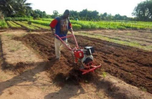 Un financement de 128 millions FCfa pour les exploitations agro-pastorales familiales de la région du Littoral du Cameroun