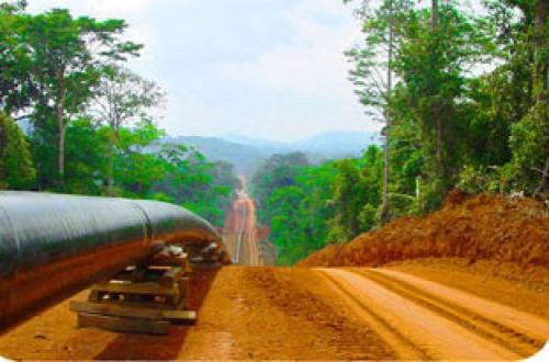 Pipeline Tchad-Cameroun: la partie camerounaise a perçu 27 milliards de FCFA de droit de transit entre janvier et octobre 2016