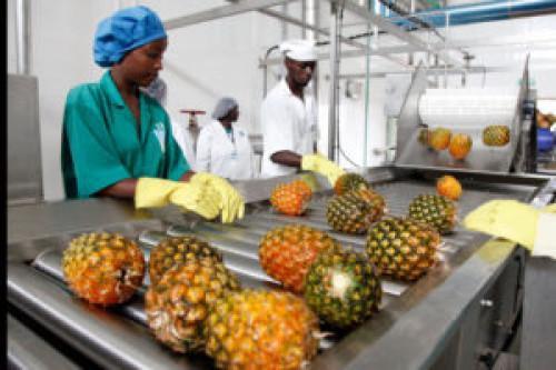 Quinze entreprises camerounaises intègrent le programme de remise à niveau, dont plus de 50% exerçant dans l’agroalimentaire
