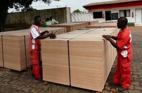 Le Cameroun exporte 10 700 tonnes de placages vers l’UE au 1er semestre 2019, soit une hausse de 30% en glissement annuel