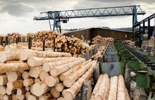 Port de Kribi : Bolloré crée une nouvelle entreprise pour exploiter le parc à bois et les marchandises en vrac