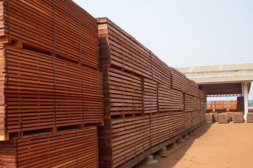 Filière bois : des entreprises suspendent les exportations pour protester contre la hausse des impôts au Cameroun