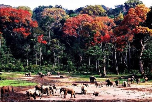 Le Cameroun revendique un potentiel de 900 sites touristiques