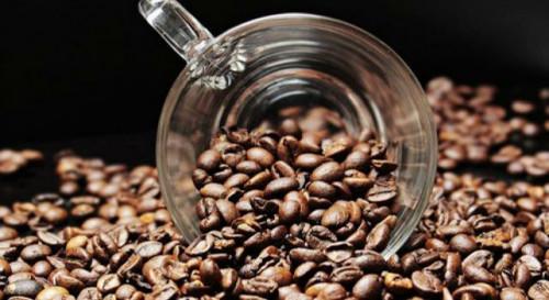 La Belgique est le 1er acheteur du café robusta camerounais et l’Allemagne pour l’arabica