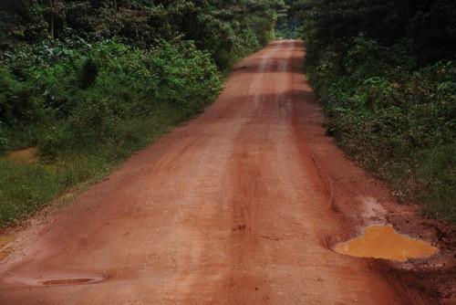BTP : six entreprises se disputent le marché des études techniques d’une route reliant le Cameroun au Congo