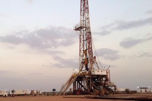La SNH cherche un partenaire pour exploiter un champ pétrolier onshore dans le bassin Douala-Kribi-Campo