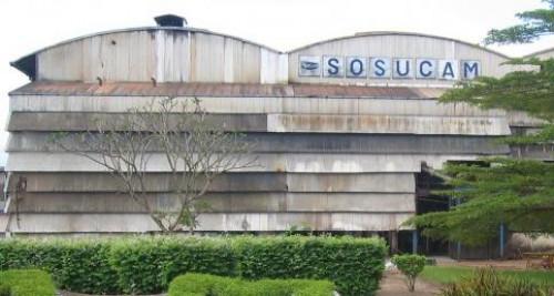 Sosucam, filiale camerounaise de Somdiaa, compte produire 130 000 t de sucre au cours de la campagne 2018-2019