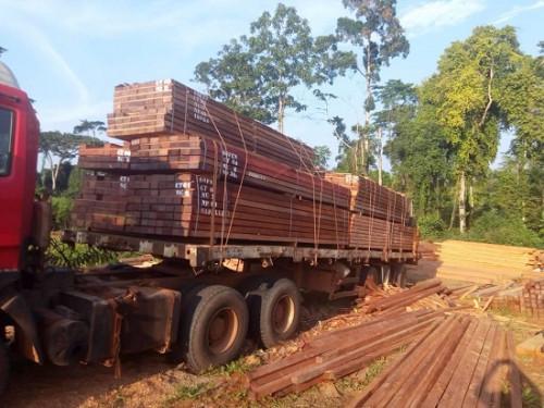 Au Cameroun, plus de 80% de la demande intérieure de produits en bois est satisfaite par le secteur informel