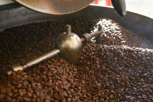 La transformation locale du café au Cameroun a baissé de 1 503 à 962 t au cours de la campagne 2017-2018