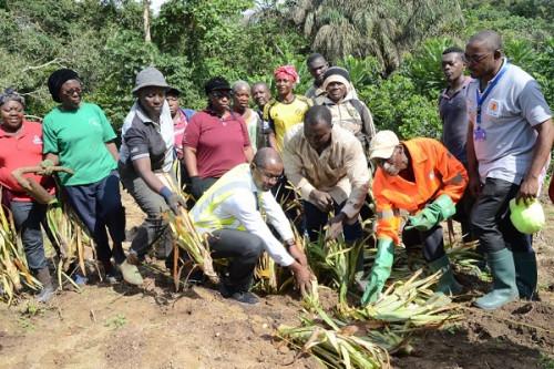 Le projet d’agriculture bio de Mombo, dans le Littoral Cameroun, soutenu par SEMC, livre sa production en 2020