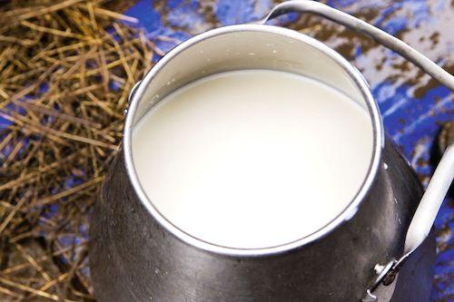 6,5 milliards de FCFA de l'UE pour booster la production laitière dans la partie septentrionale du Cameroun